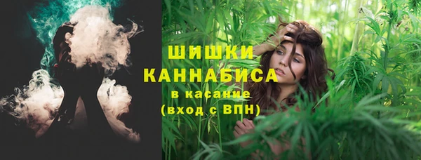 мет Пестово