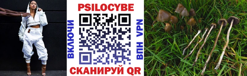 цены наркотик  Лиски  Псилоцибиновые грибы Cubensis 